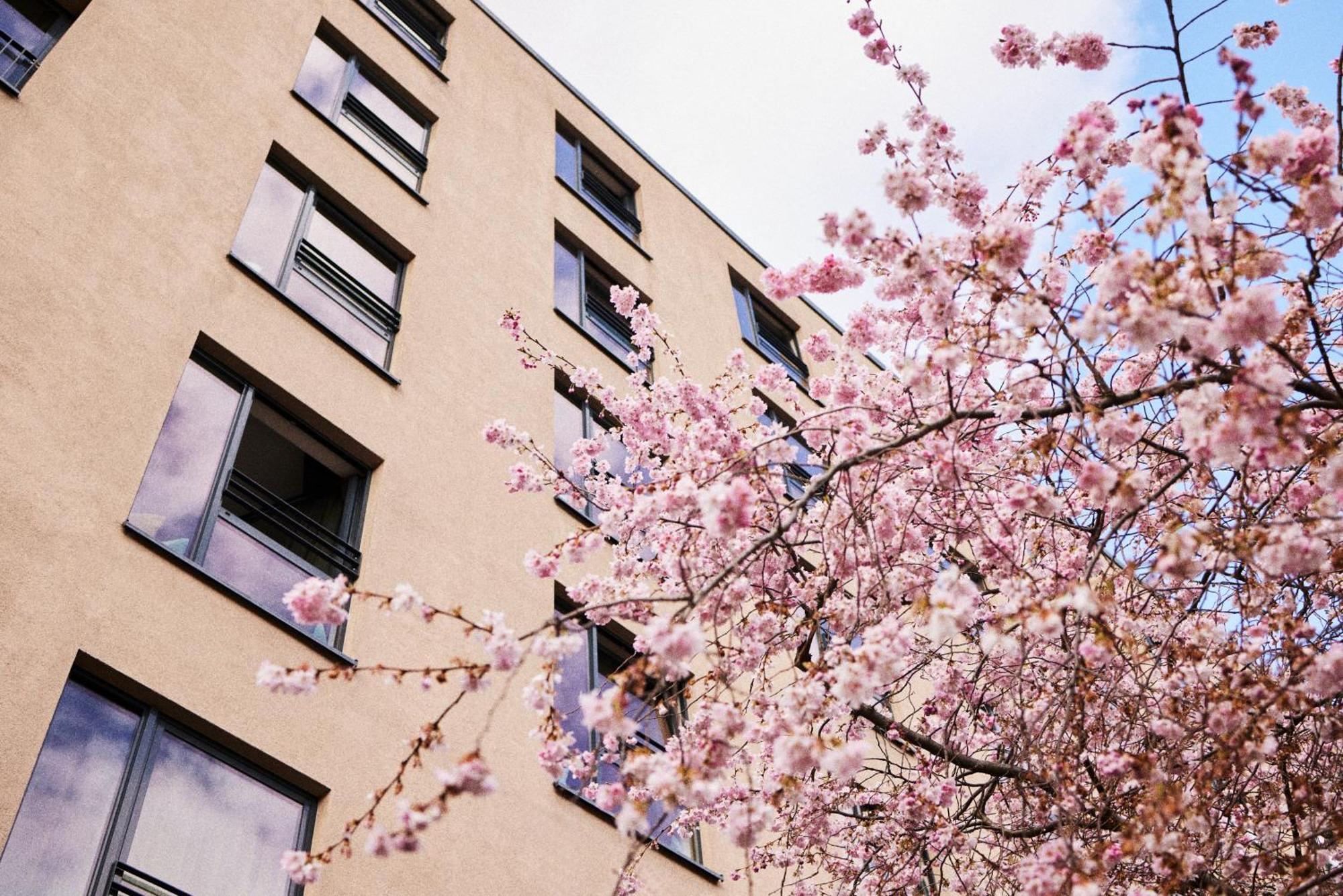 The George Hamburg Hotel Exterior foto